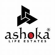real estate consultant